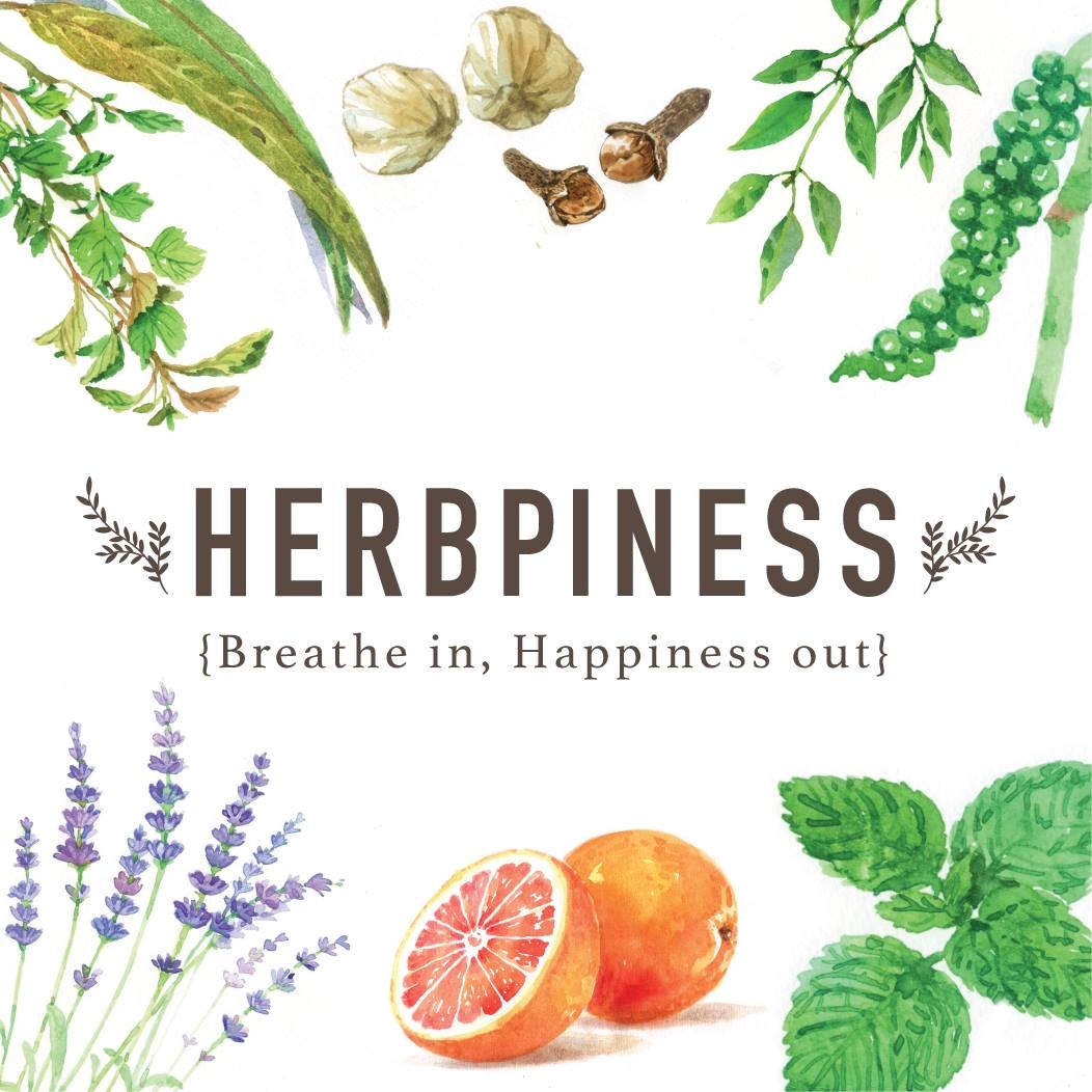 Herbpiness Liquid Balm Roller 9.6ml | Botanical Aroma Relief Oil (Mint / Lemongrass / Lemon / Orange)